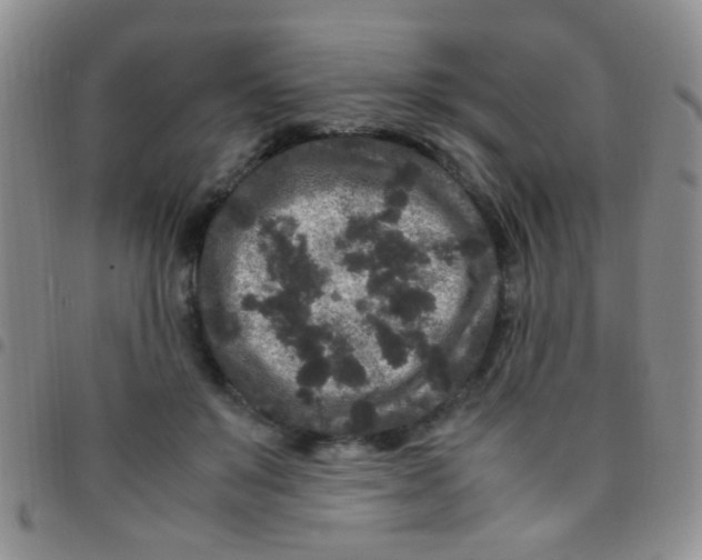 X0000097500503200803142022