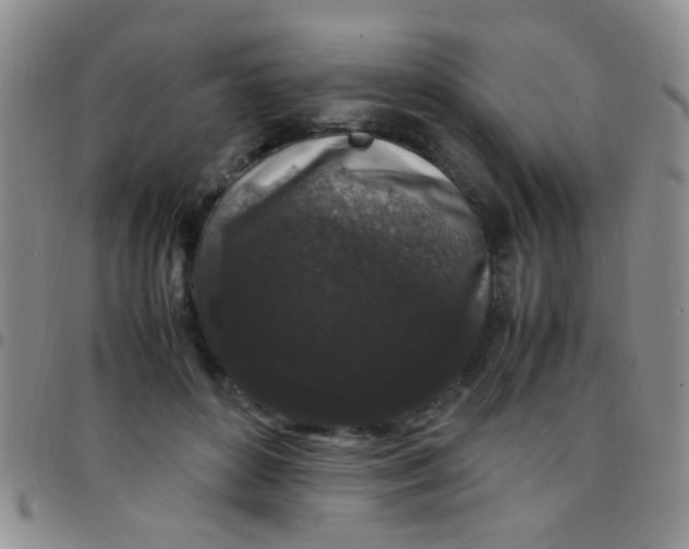 X0000097500504200803142022