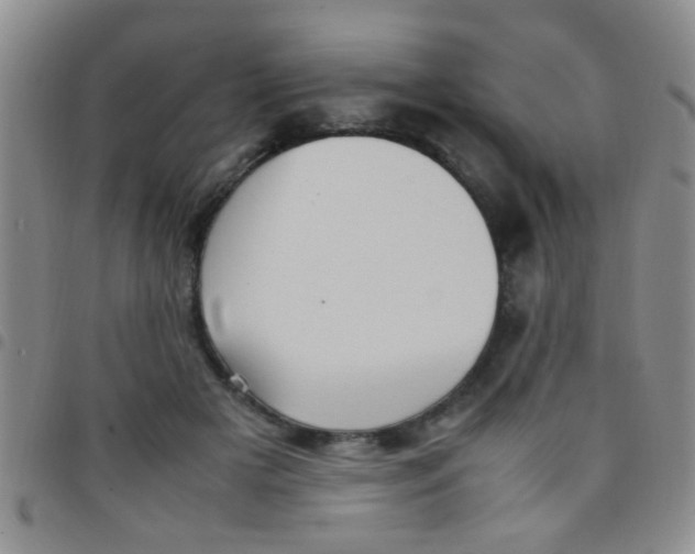 X0000097500505200803142022