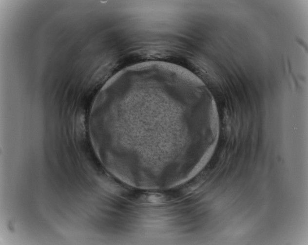 X0000097500506200803142022