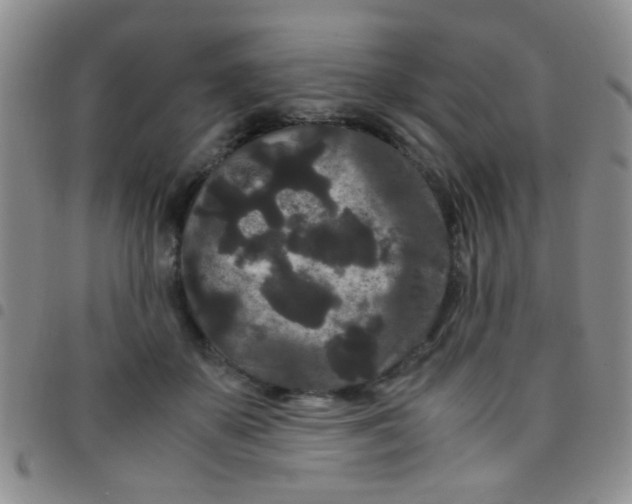 X0000097500507200803142022