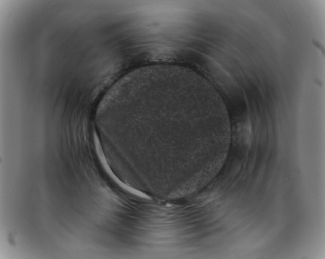 X0000097500508200803142022