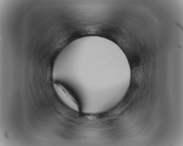 X0000097500509200803142022