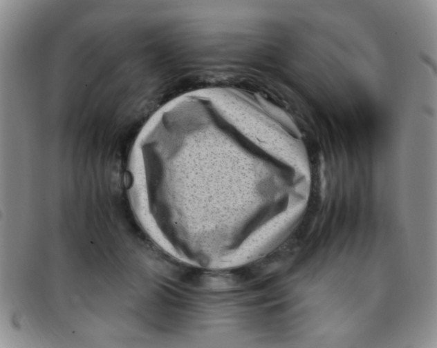 X0000097500510200803142022