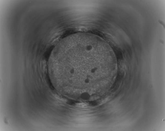 X0000097500511200803142022