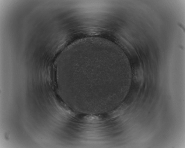 X0000097500512200803142022