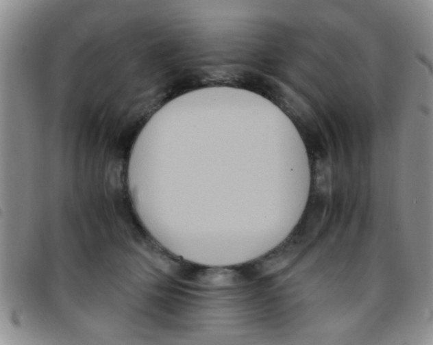 X0000097500514200803142022