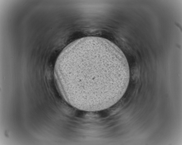 X0000097500515200803142022