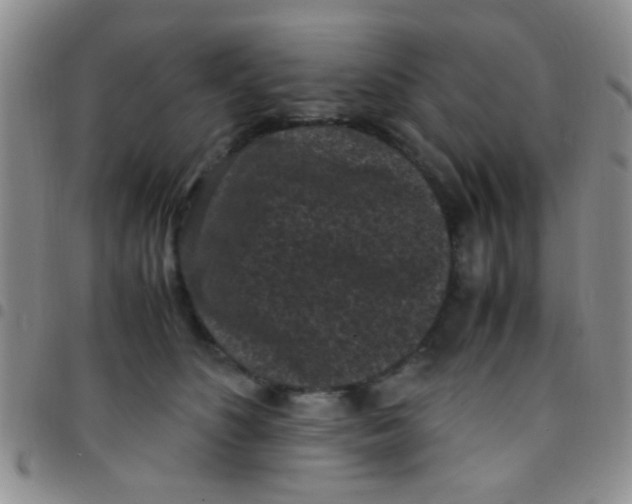 X0000097500516200803142022