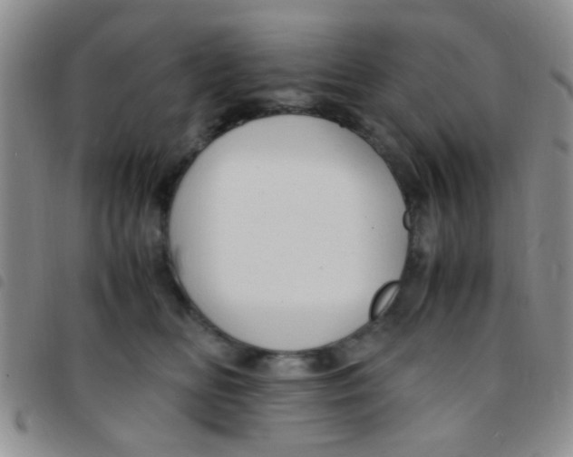 X0000097500518200803142022