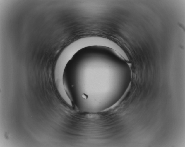 X0000097500520200803142022