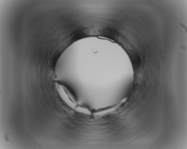 X0000097500521200803142022