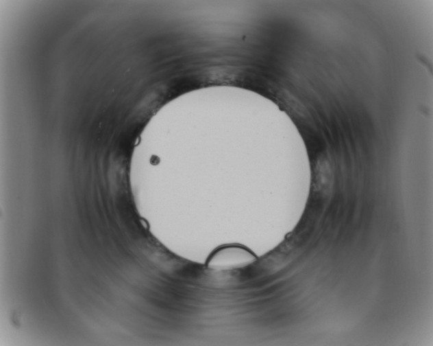 X0000097500522200803142022