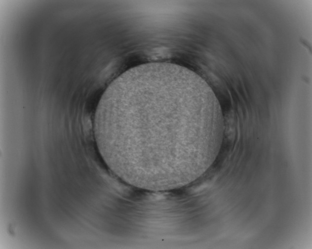 X0000097500523200803142022