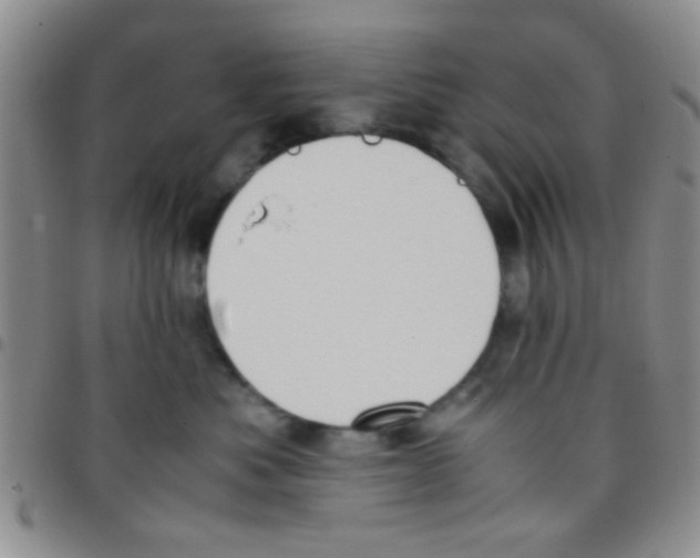 X0000097500525200803142022