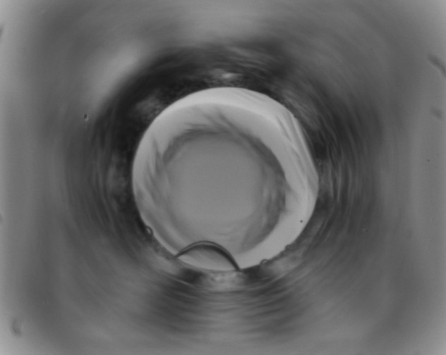 X0000097500526200803142022