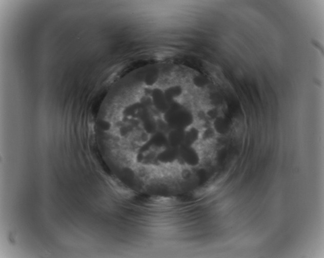 X0000097500527200803142022