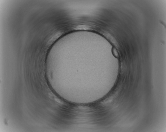 X0000097500529200803142021