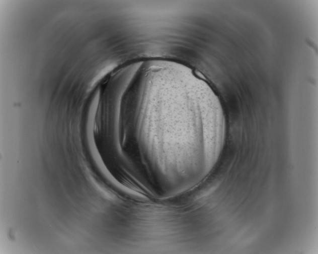 X0000097500530200803142021