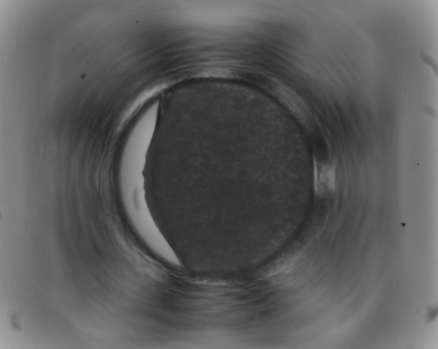 X0000097500531200803142021