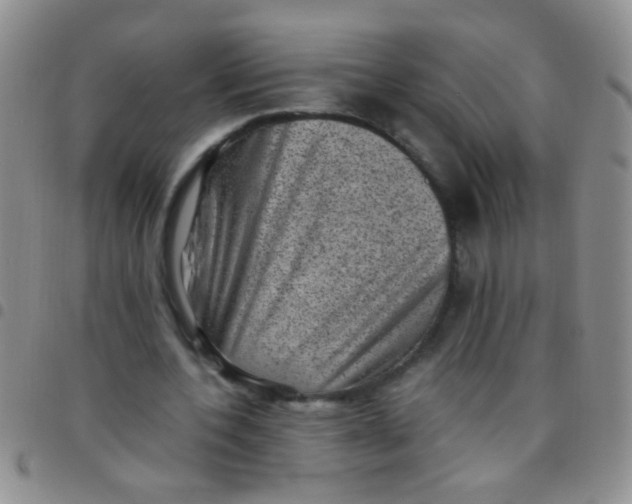 X0000097500532200803142021