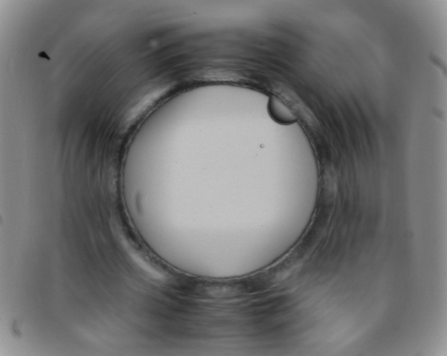 X0000097500533200803142022