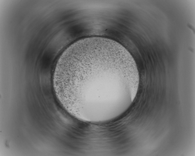 X0000097500534200803142022