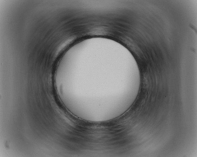 X0000097500535200803142022