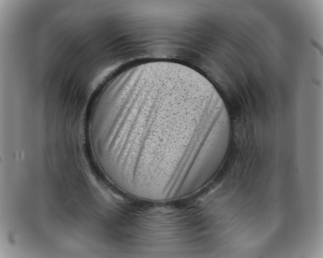 X0000097500536200803142022