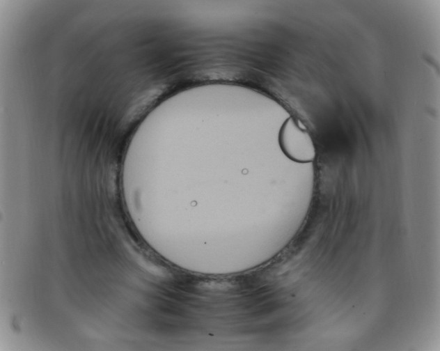 X0000097500537200803142022