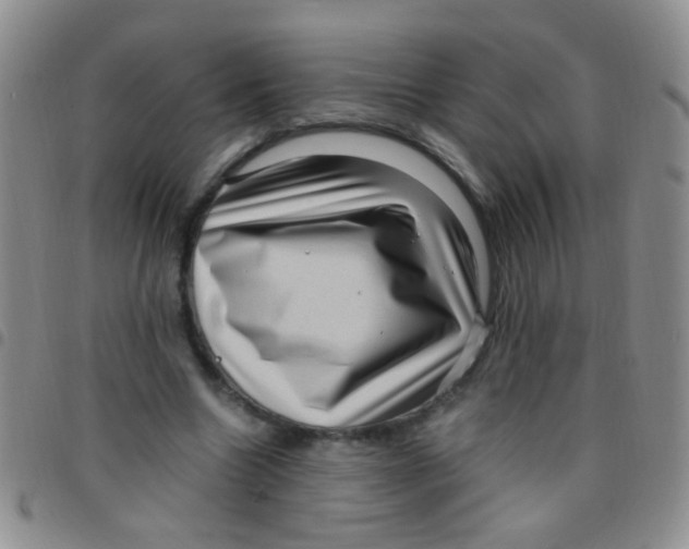 X0000097500538200803142022