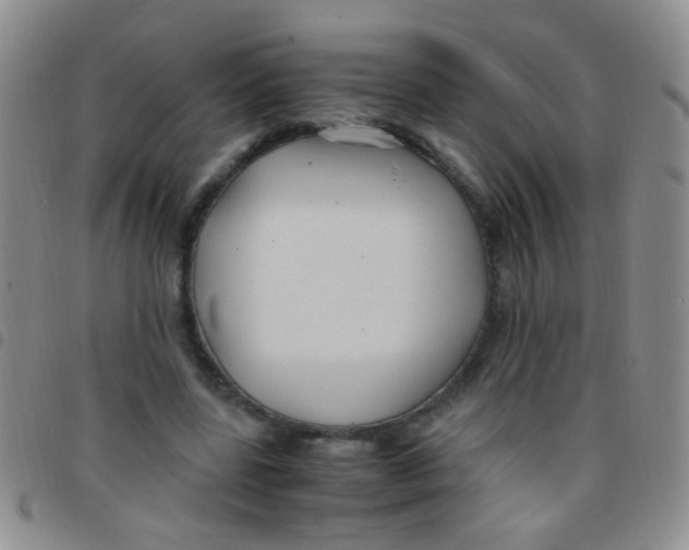 X0000097500539200803142022