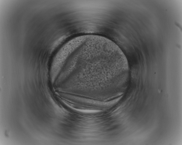 X0000097500540200803142022