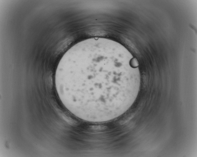 X0000097500541200803142022