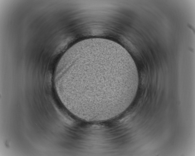 X0000097500542200803142022