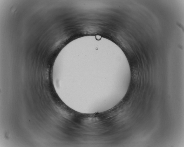 X0000097500543200803142022