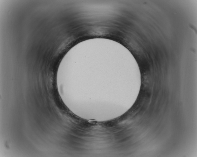 X0000097500544200803142022