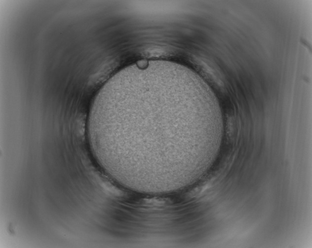 X0000097500545200803142022