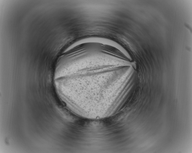 X0000097500546200803142022