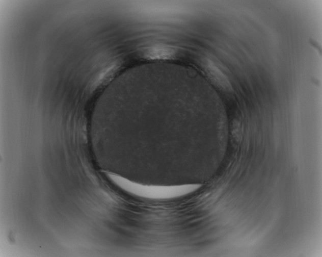 X0000097500547200803142022