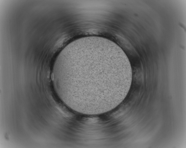 X0000097500548200803142022