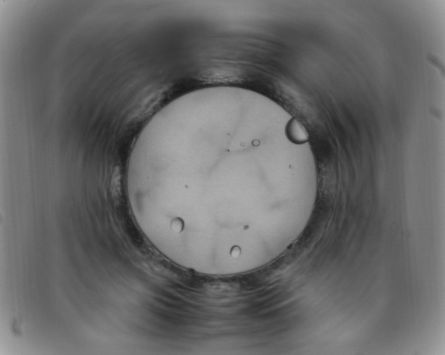 X0000097500549200803142022