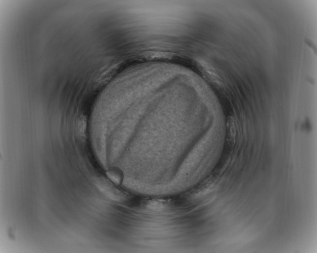 X0000097500550200803142022