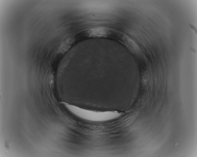 X0000097500551200803142022