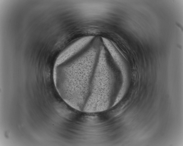 X0000097500552200803142022