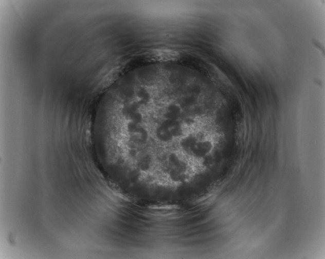 X0000097500553200803142022