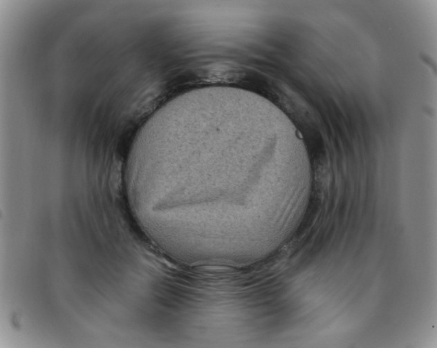 X0000097500554200803142022