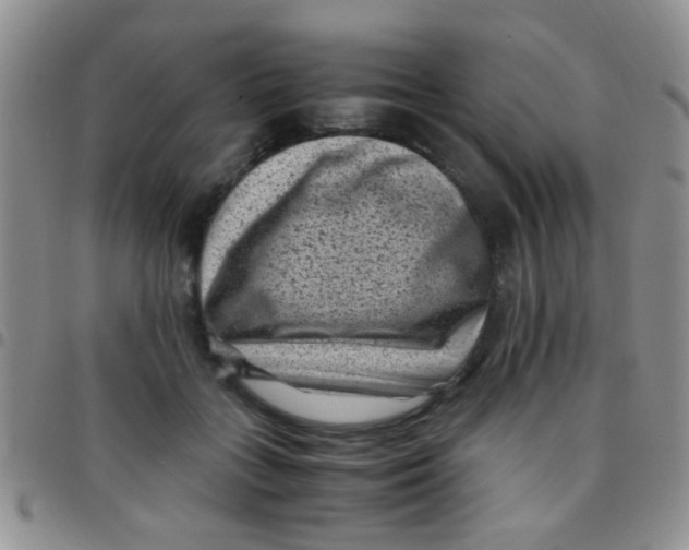 X0000097500555200803142022