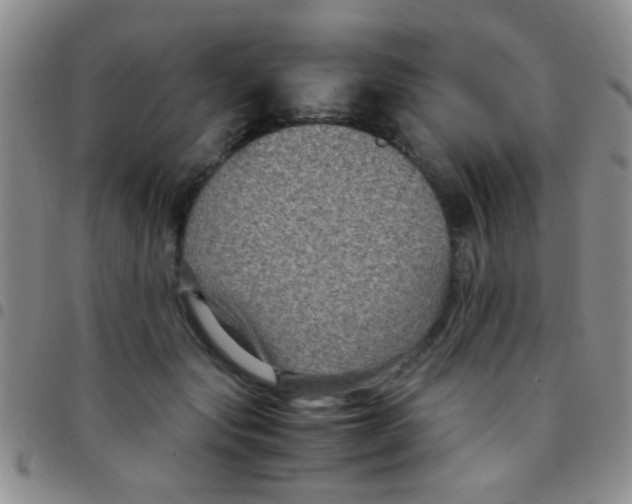 X0000097500557200803142022