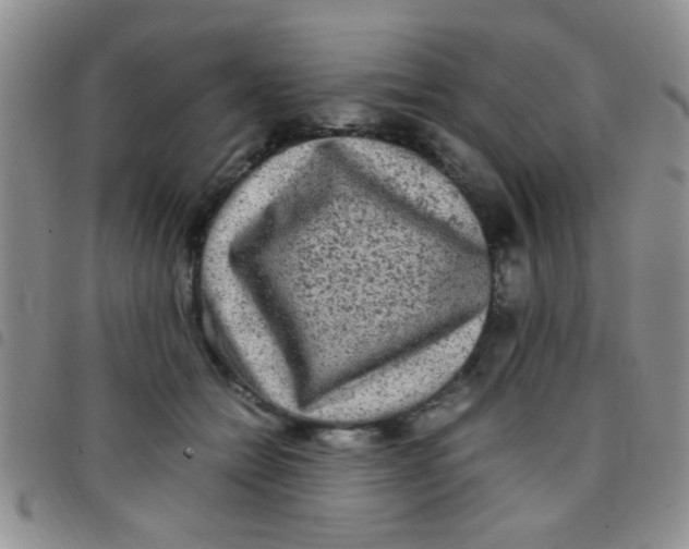 X0000097500558200803142022